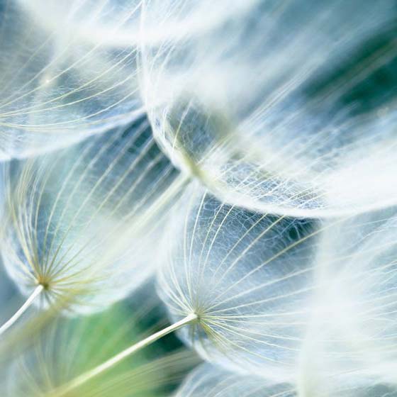Homepage